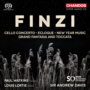 Cello Concerto/Eclogue/New Year Music/Grand Fantasia