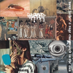 Your Father's Rage Evaporated In the Sun