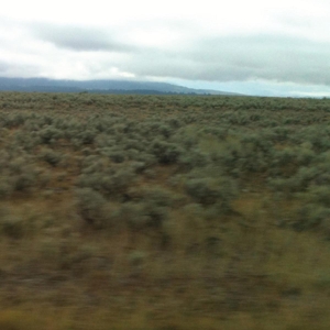 50.000.000 Elvis Fans Can't Be Wrong