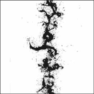 True Discoveries of Witches & Demons