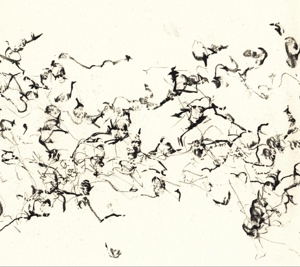 There is No More Firmament