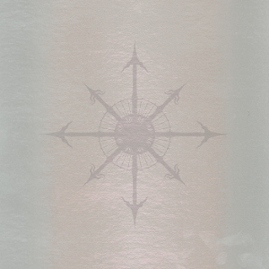 Through the Looking Glass