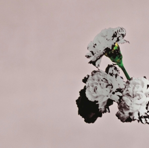 Love In the Future (Special Edition)