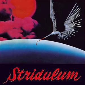 7-Stridulum