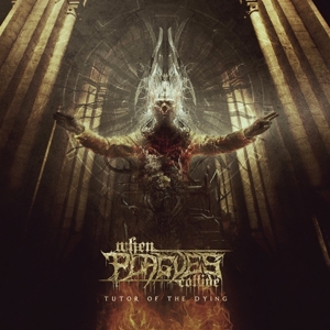 (Black)Tutor of the Dying