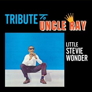Tribute To Uncle Ray/the Jazz Soul of Little Stevie