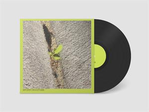 Close-Up On the Outside