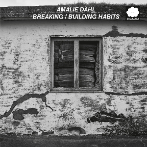 Breaking / Building Habits